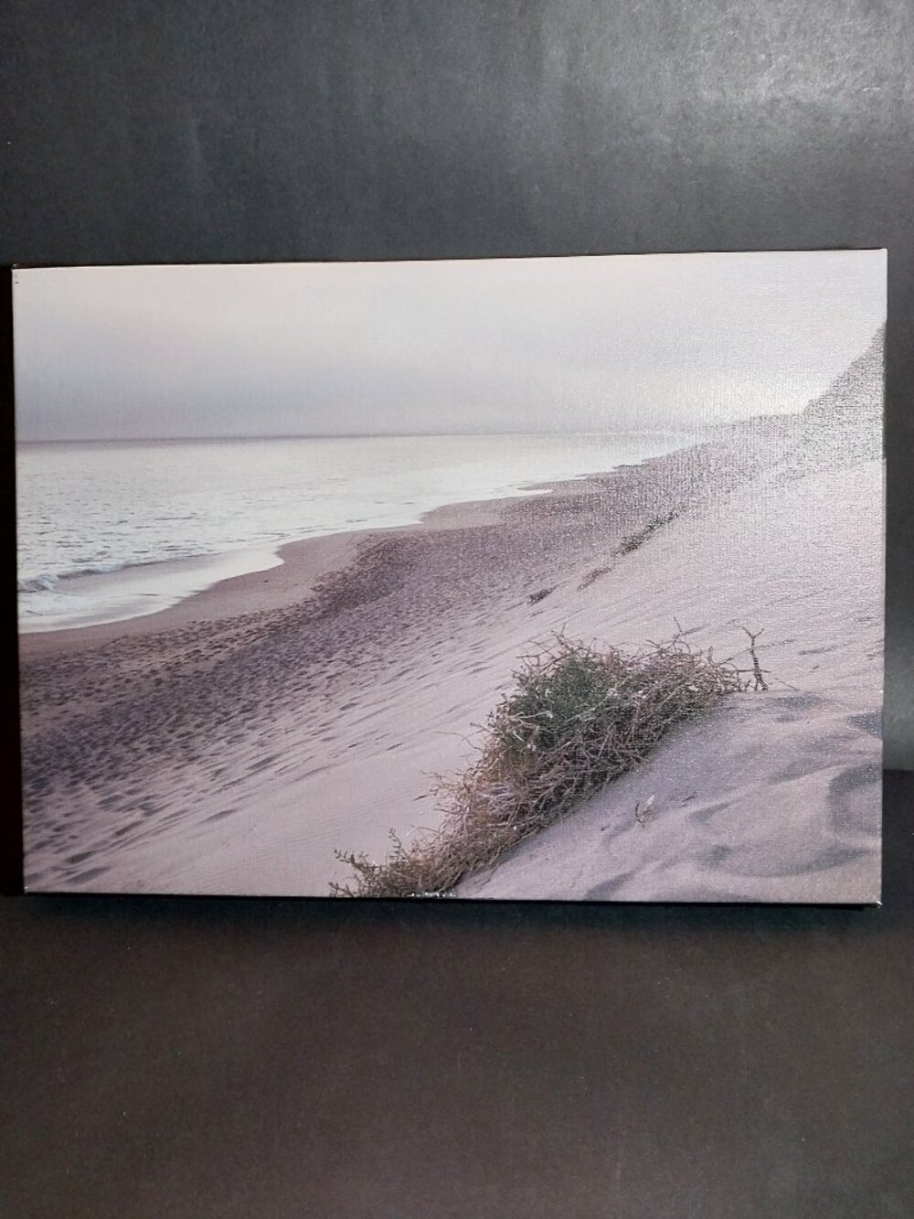 Canvas Grey Tone Ocean & Dunes Print
